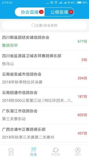 中鸽直播网，连接鸽界共创美好未来